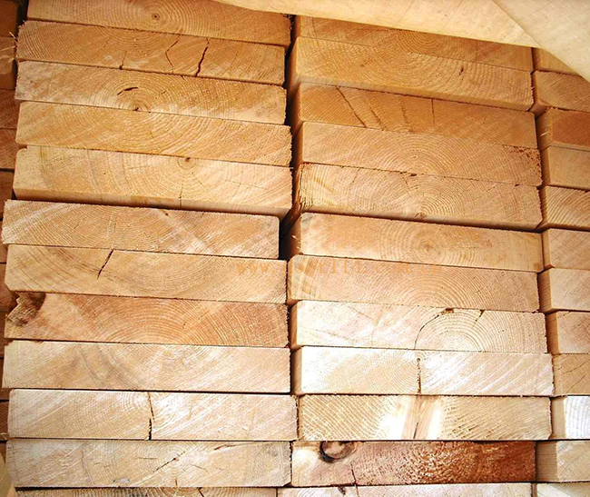 八公山智利辐射松方木